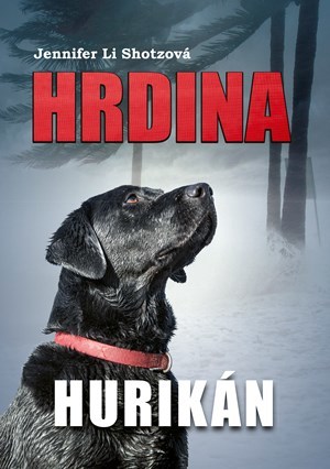 Obrázok Hrdina: Hurikán