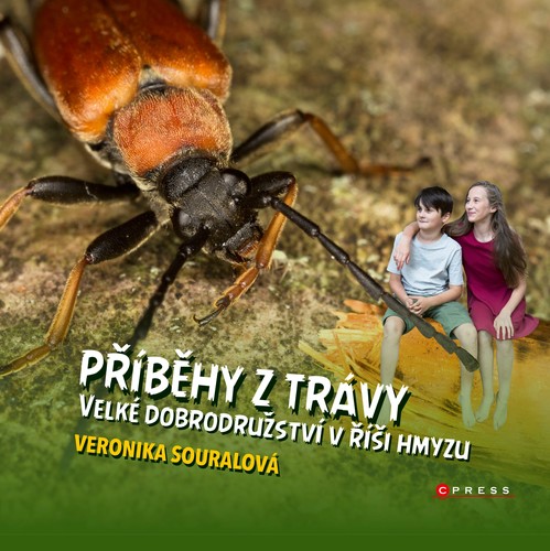 Obrázok Příběhy z trávy 