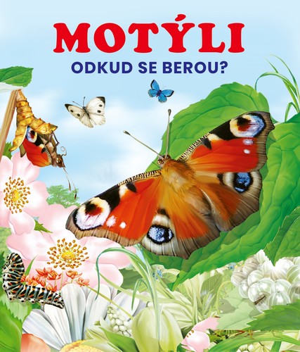 Obrázok Motýli