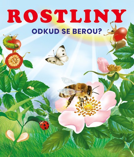 Obrázok Rostliny