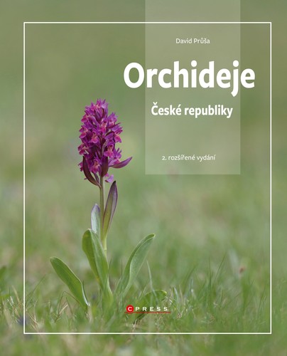 Obrázok Orchideje České republiky