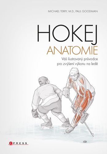 Obrázok Hokej - anatomie