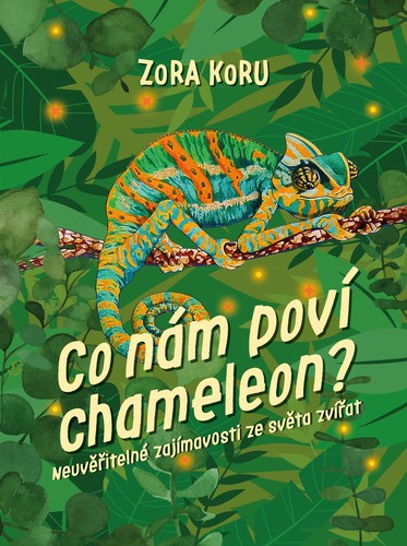 Obrázok Co nám poví chameleon