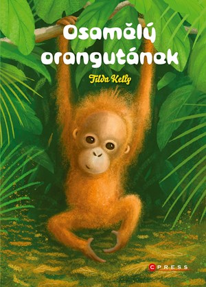 Obrázok Osamělý orangutánek