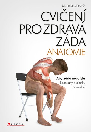 Obrázok Cvičení pro zdravá záda - anatomie