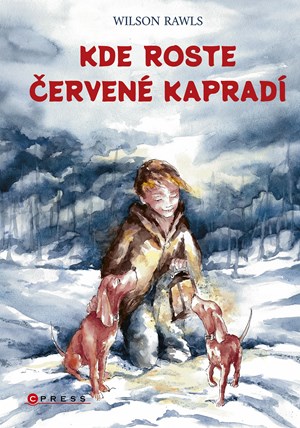 Obrázok Kde roste červené kapradí