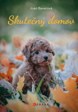 Obrázok Skutečný domov