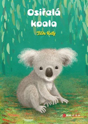 Obrázok Osiřelá koala