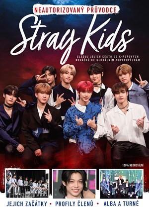 Obrázok Stray Kids