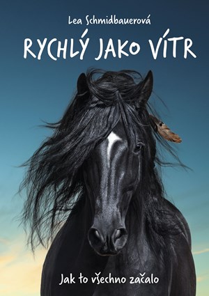 Obrázok Rychlý jako vítr: Jak to všechno začalo