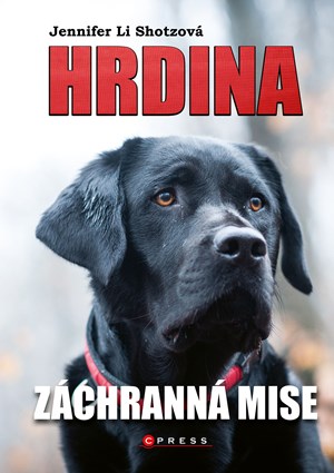 Obrázok Hrdina: Záchranná mise