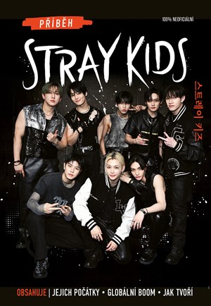 Obrázok Příběh Stray Kids