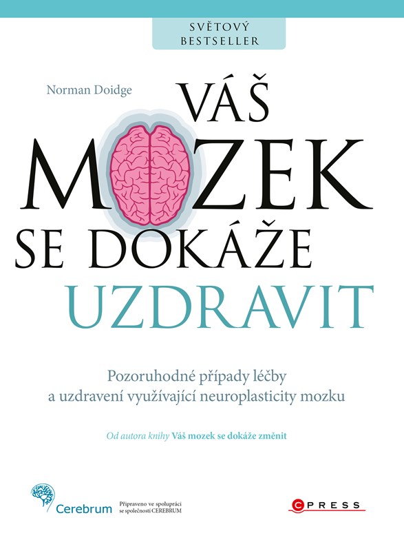Obrazok Váš mozek se dokáže uzdravit