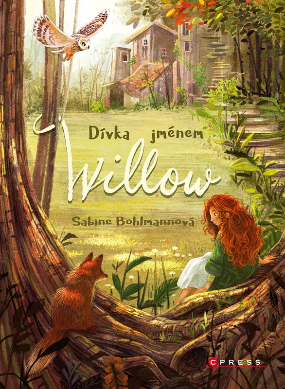 Obrazok Dívka jménem Willow