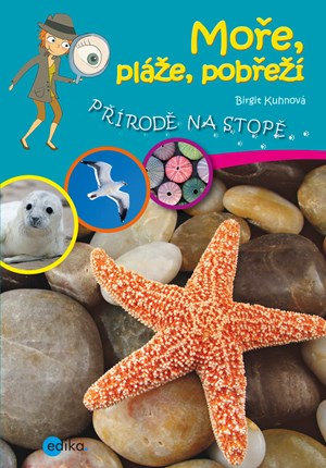 Obrázok Moře, pláže, pobřeží