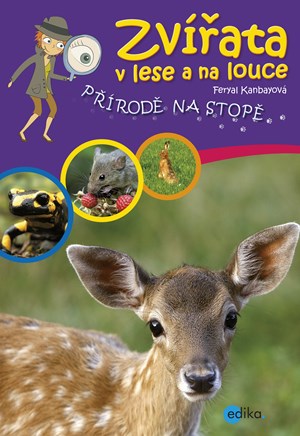 Obrázok Zvířata v lese a na louce