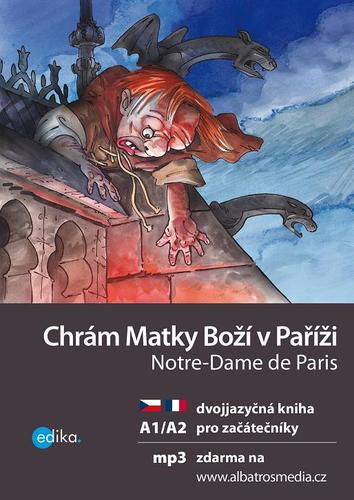 Obrázok Chrám Matky Boží v Paříži A1/A2