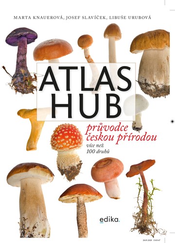 Obrázok Atlas hub