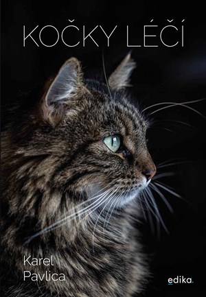 Obrázok Kočky léčí