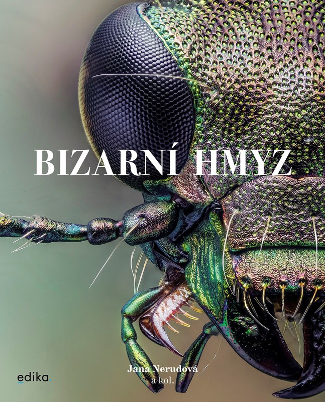 Obrazok Bizarní hmyz