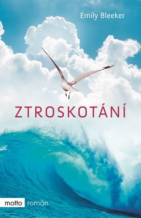 Obrázok Ztroskotání