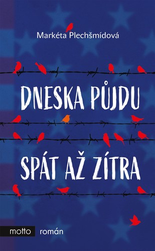 Obrázok Dneska půjdu spát až zítra