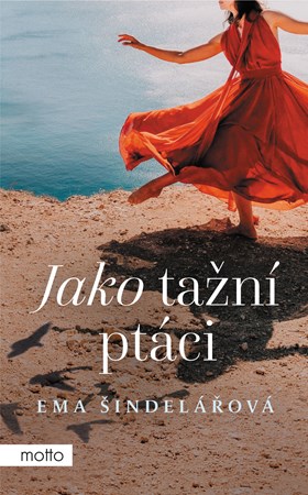 Obrázok Jako tažní ptáci