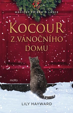 Obrázok Kocour z vánočního domu