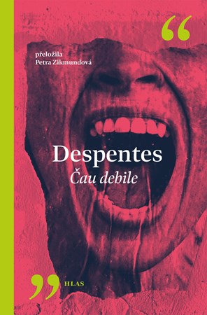 Obrázok Čau debile