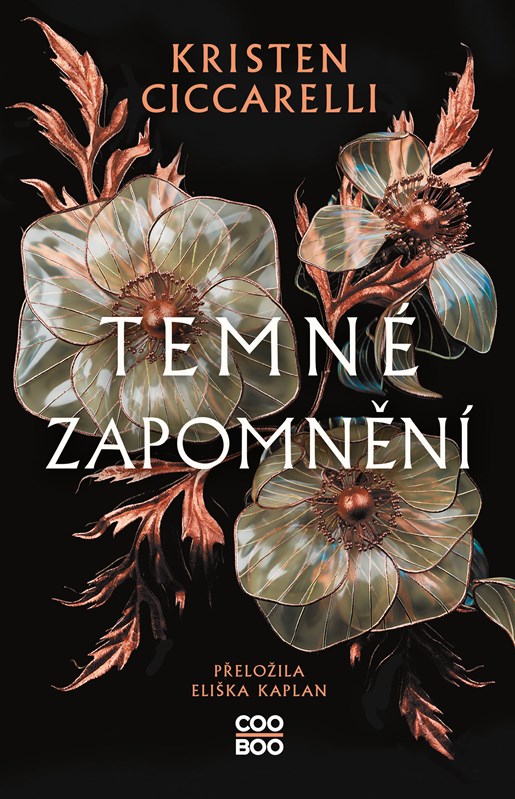 Obrazok Temné zapomnění