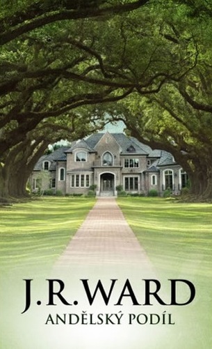 Obrázok Andělský podíl