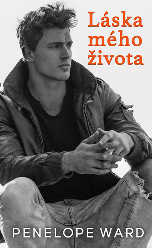 Obrázok Láska mého života