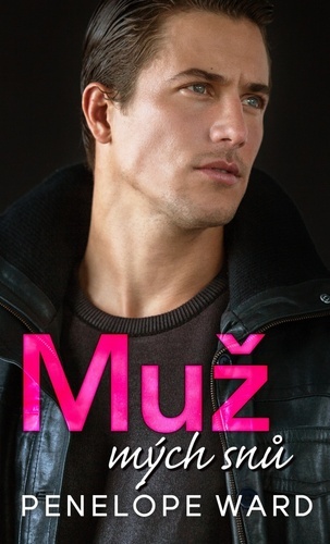 Obrázok Muž mých snů