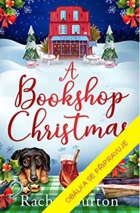 Obrázok Vánoce mezi knihami