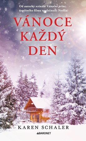 Obrázok Vánoce každý den