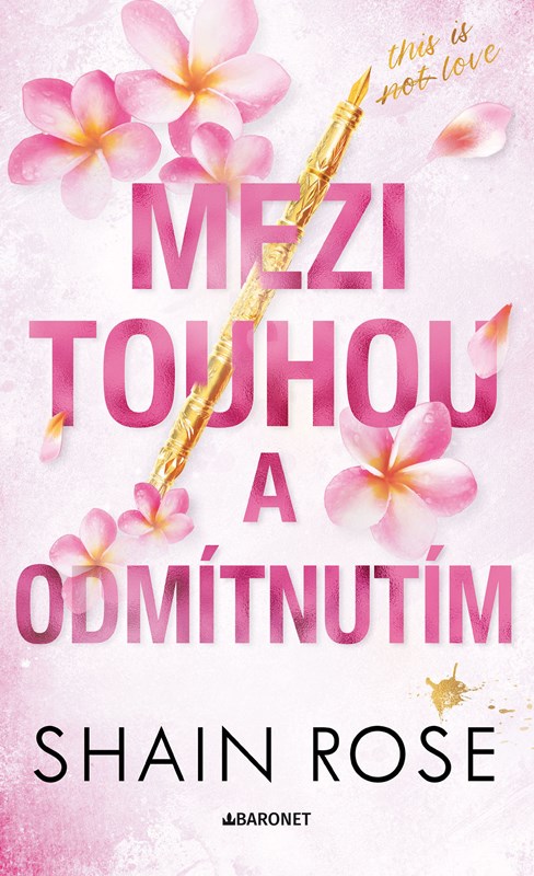 Obrazok Mezi touhou a odmítnutím 