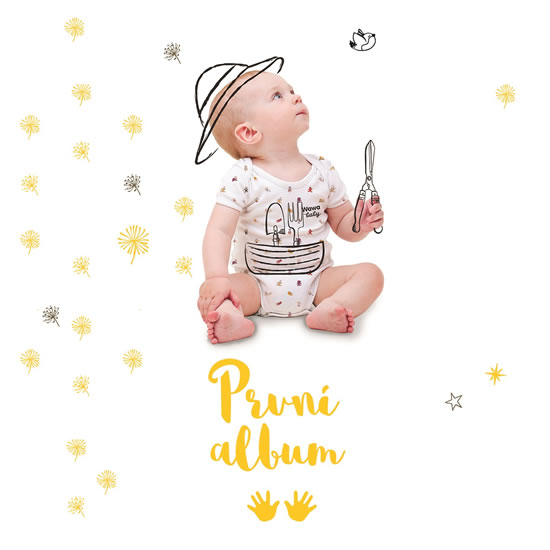 Obrázok První album