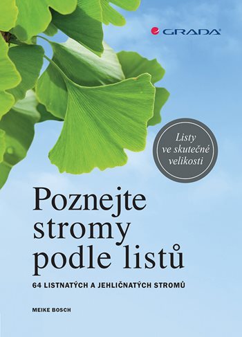 Obrázok Poznejte stromy podle listů