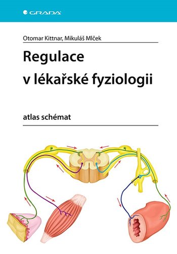 Obrázok Regulace v lékařské fyziologii