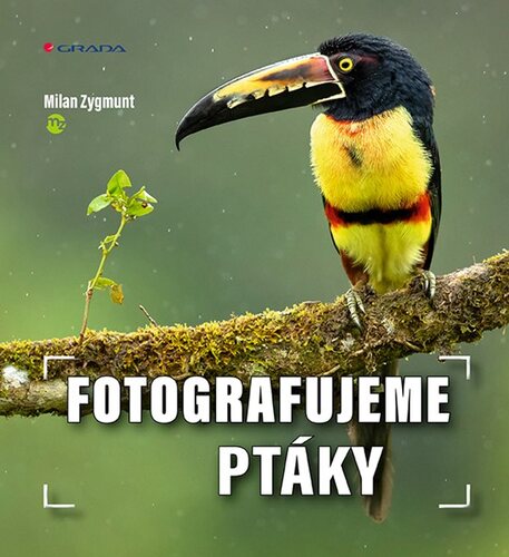 Obrázok Fotografujeme ptáky