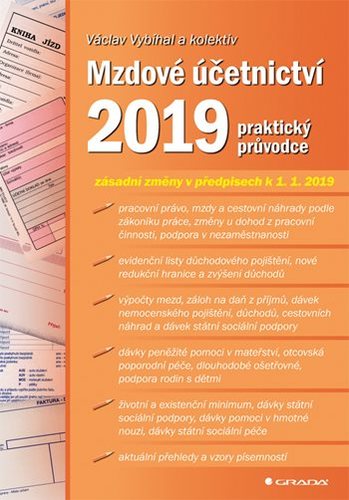 Obrázok Mzdové účetnictví 2019 - praktický průvo