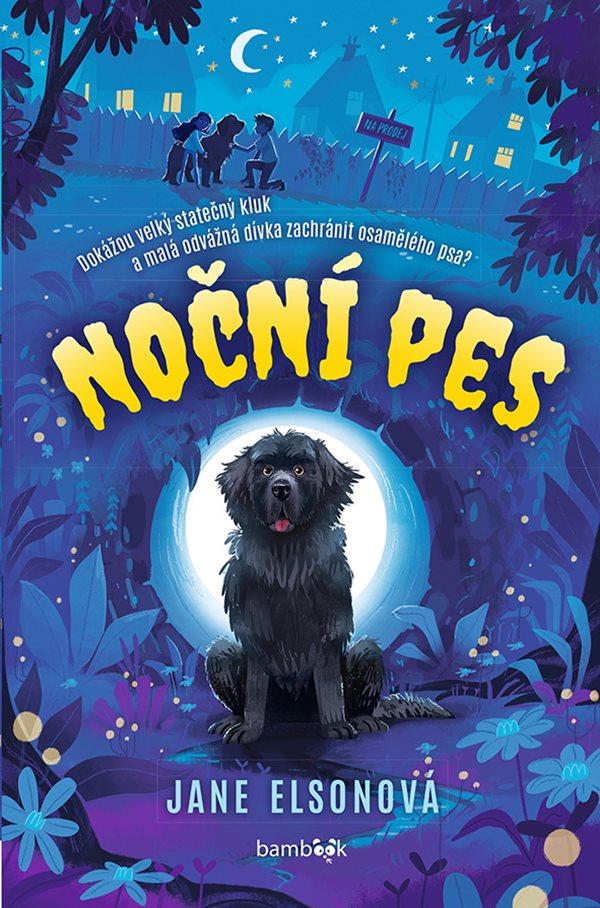 Obrázok Noční pes
