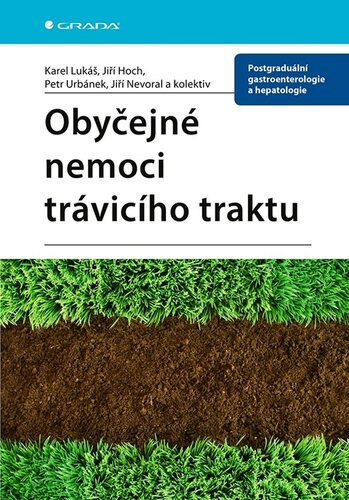 Obrázok Obyčejné nemoci trávicího traktu