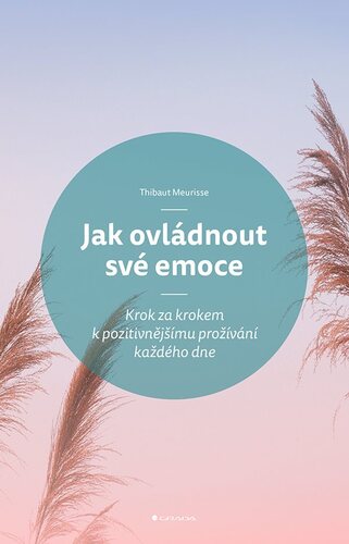 Obrázok Jak ovládnout své emoce