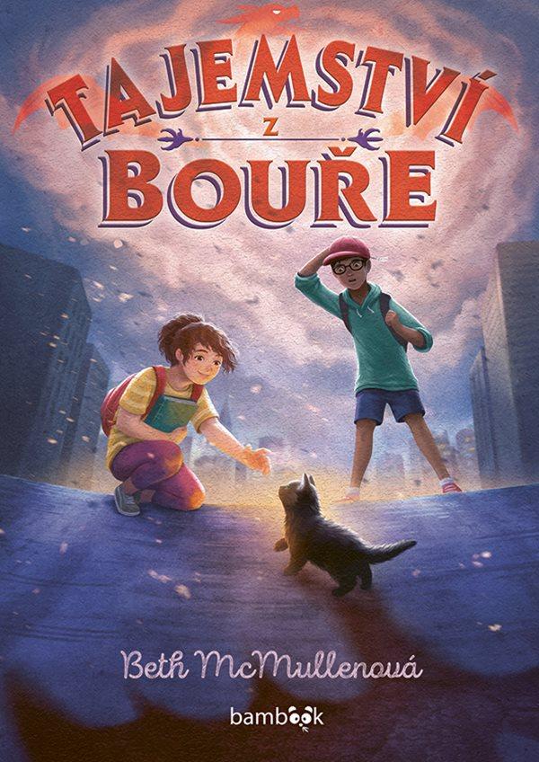 Obrázok Tajemství z bouře