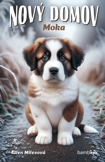Obrázok Nový domov – Moka