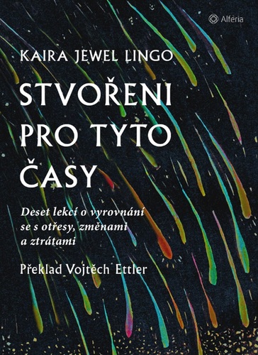 Obrázok Stvořeni pro tyto časy - Deset lekcí o vyrovnání se s otřesy, ztrátami a změnami