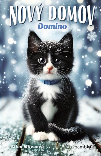 Obrázok Nový domov – Domino