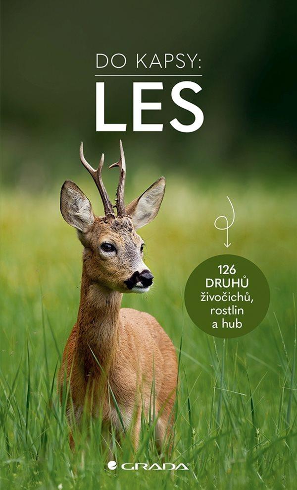 Obrázok Les - Do kapsy