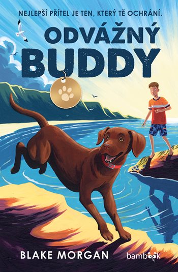 Obrázok Odvážný Buddy